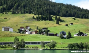 为保护雪绒花 瑞士限制游客数量