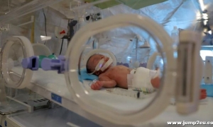 NHS试管婴儿手术数量急剧下降 女性被迫花高价去私立医院
